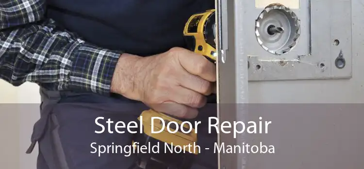 Steel Door Repair Springfield North - Manitoba