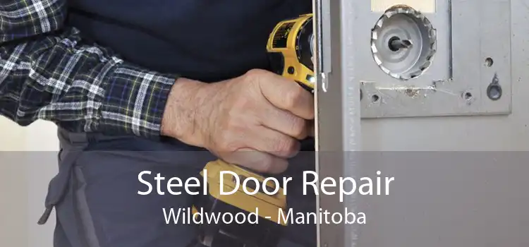 Steel Door Repair Wildwood - Manitoba