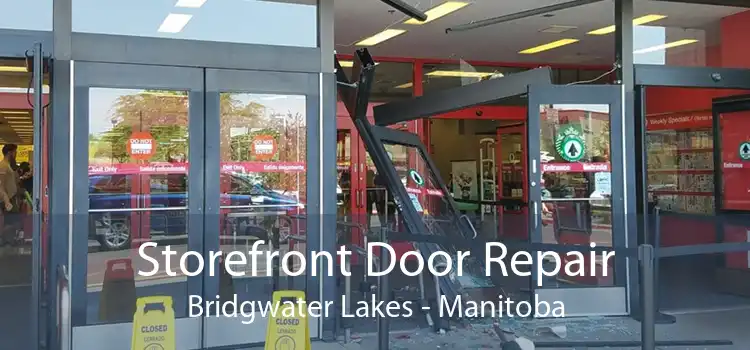 Storefront Door Repair Bridgwater Lakes - Manitoba