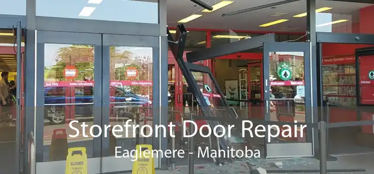 Storefront Door Repair Eaglemere - Manitoba