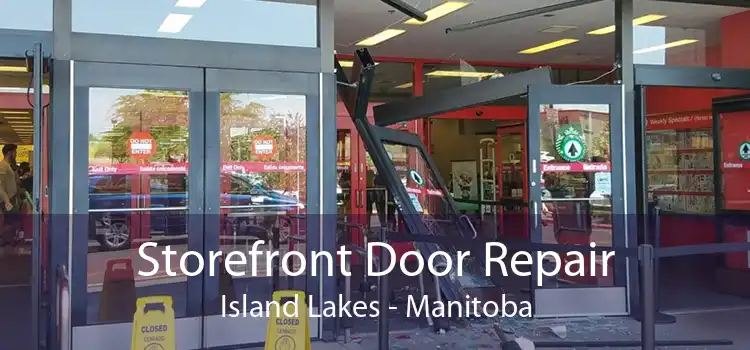 Storefront Door Repair Island Lakes - Manitoba