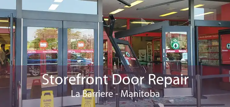 Storefront Door Repair La Barriere - Manitoba