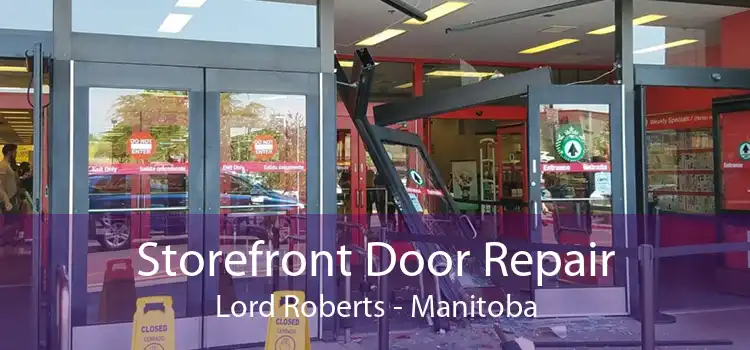 Storefront Door Repair Lord Roberts - Manitoba
