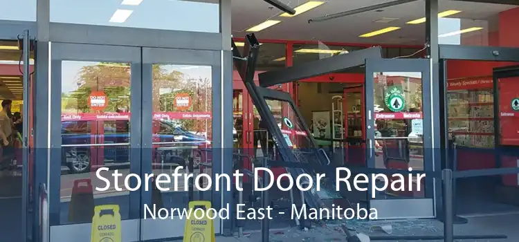 Storefront Door Repair Norwood East - Manitoba