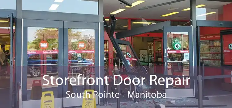 Storefront Door Repair South Pointe - Manitoba