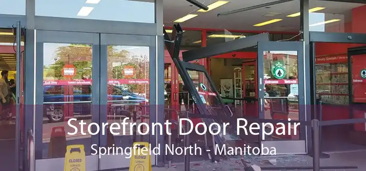 Storefront Door Repair Springfield North - Manitoba