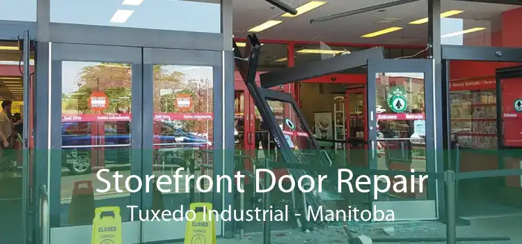 Storefront Door Repair Tuxedo Industrial - Manitoba