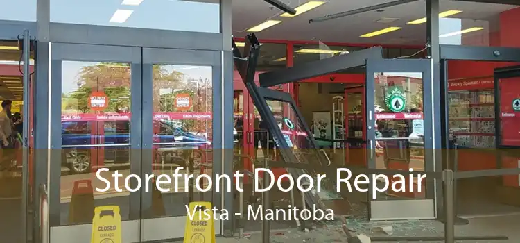 Storefront Door Repair Vista - Manitoba