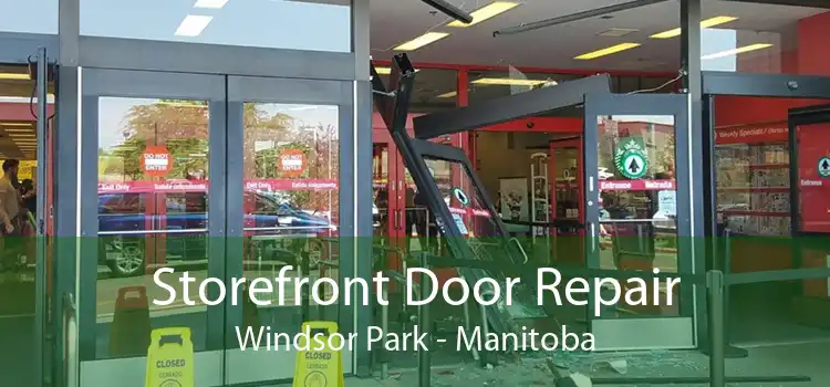 Storefront Door Repair Windsor Park - Manitoba