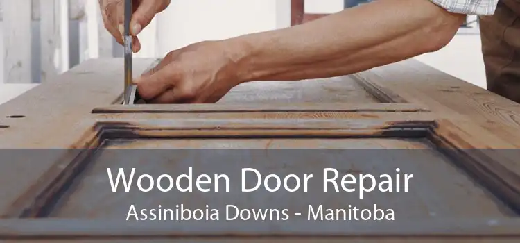 Wooden Door Repair Assiniboia Downs - Manitoba
