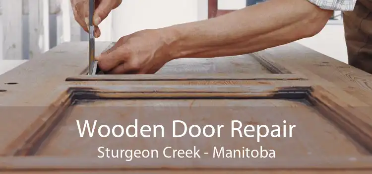 Wooden Door Repair Sturgeon Creek - Manitoba
